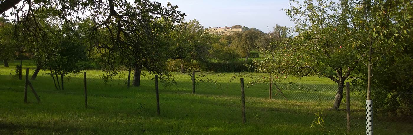 Hohenasperg, von Möglingen aus